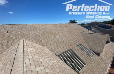 Perfection Pressure Washing and Roof Cleaning
