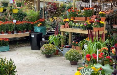 Bloom Garden Shop