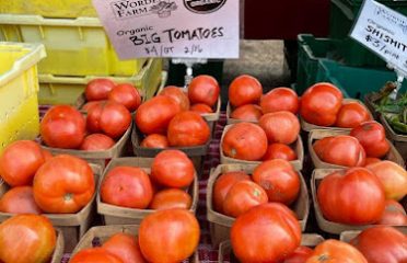 Farmers Market St Petersburg