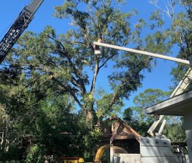 Mid-Florida Tree Service, Inc.