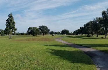 Tampa Bay FL Golf Courses, Golf Courses Tampa Bay FL, Country Clubs Tampa FL, Golfing Tampa FL, Public Golf Courses Tampa Bay FL, Tampa FL Country Clubs, Miniature Golf Tampa Bay FL