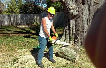 Lee Claxton, ISA Certified Arborist Tree Service