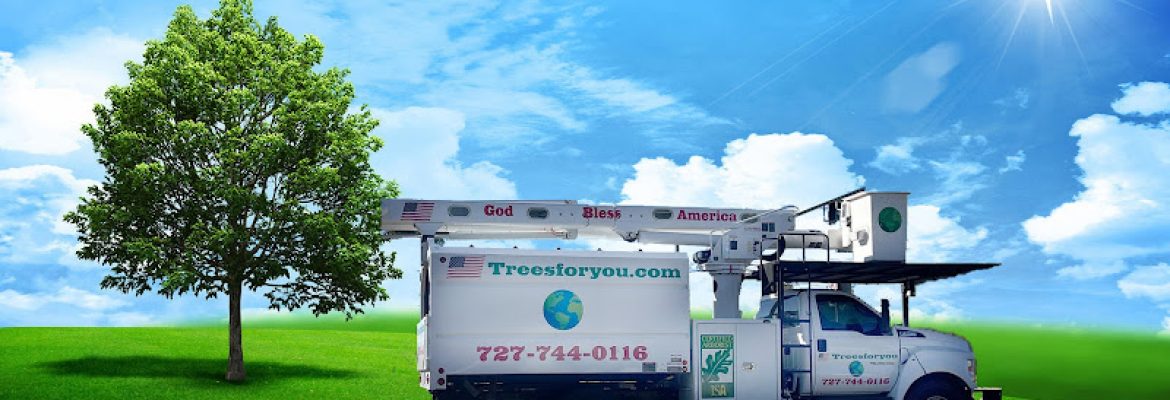 TreesForYou.com
