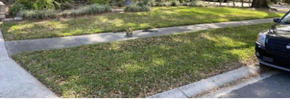 Mike Goodwine’s lawn service