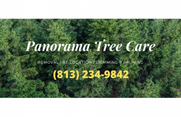 Panorama Tree Care- Clearwater Tree Services