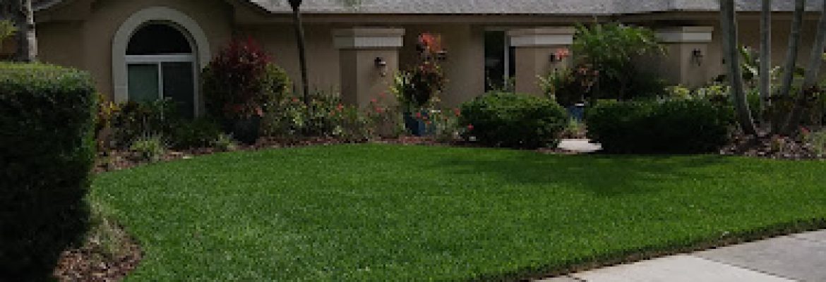 Smart Choice Lawn Care