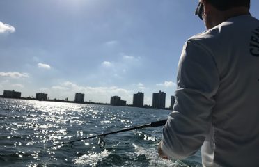 Tampa Bay FL Fishing Charters, Fishing Charters Tampa Bay FL, Deep Sea Fishing Tampa FL, Fishing Charters Tampa FL, Fishing Charter Tampa Bay FL, Tampa FL Fishing Boats, Deep Sea Fishing Tampa Bay FL