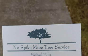 No Spike Mike Tree Service