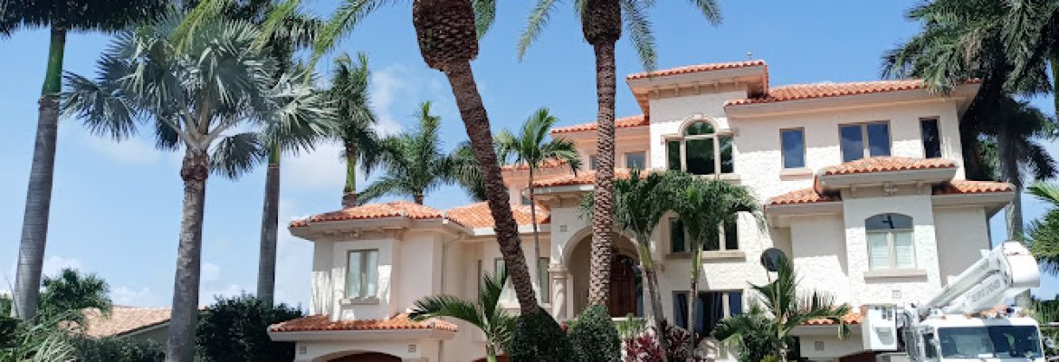 CPL Tree Service & Landscaping
