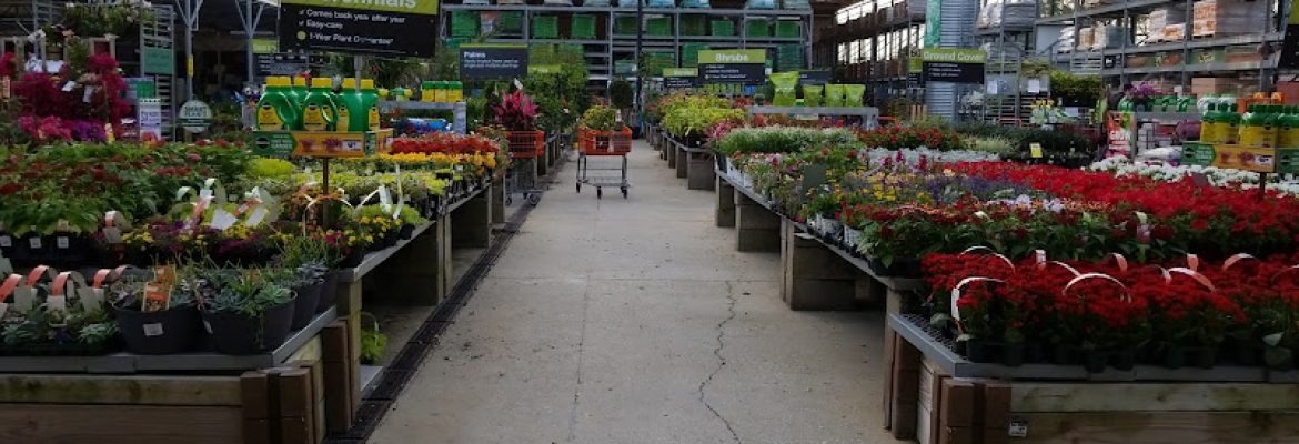 The Home Depot