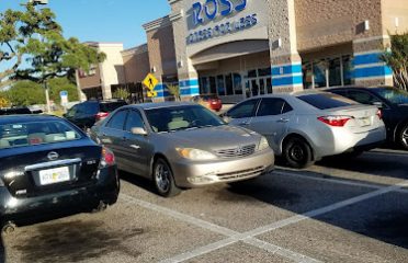 Motorcycle Dealers In Tampa FL, ATV Dealers Tampa FL, Horseback Riding Tampa FL, Tubing In Tampa FL, Motorcycle Dealers St. Petersburg FL, ATV Dealers St. Petersburg FL, Horseback Riding St. Petersburg FL, Tubing In St. Petersburg FL