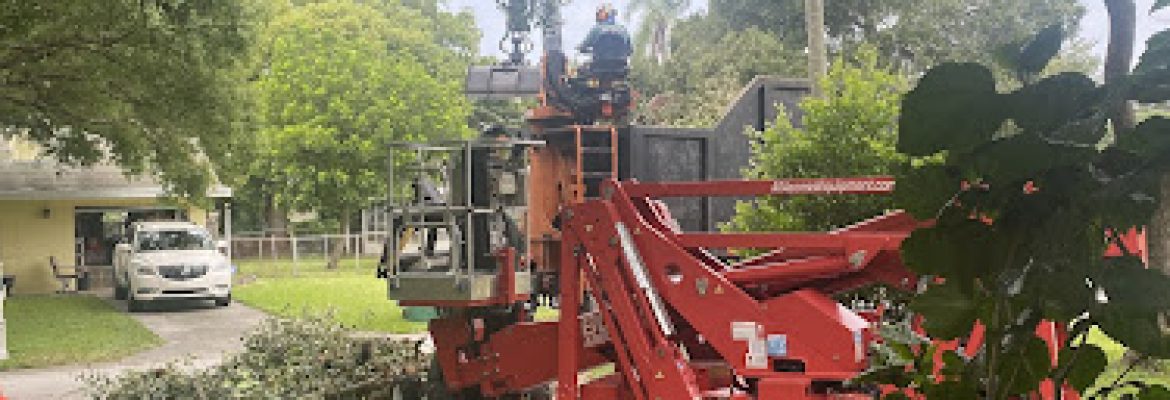 B&T’s Tree Service