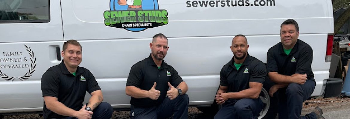 Sewer Studs