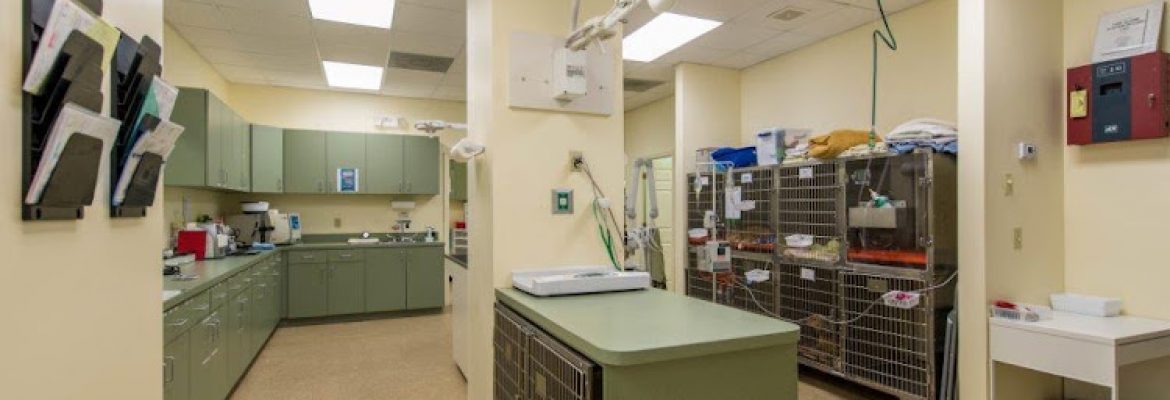 Four Paws Veterinary Hospital