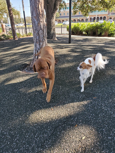 Queenie's Dog Park at Water Works Park - Just Tampa Bay