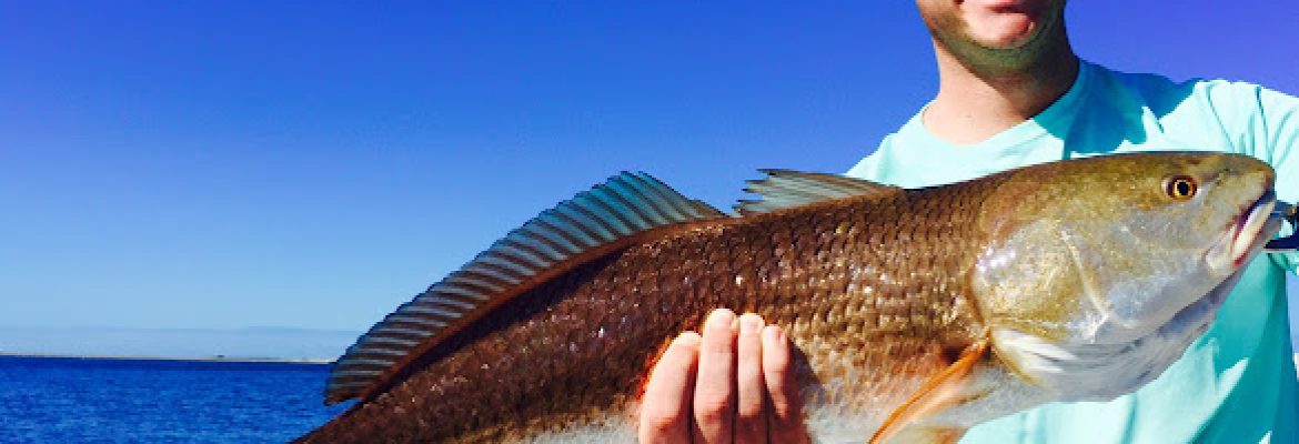 Tampa Bay FL Fishing Charters, Fishing Charters Tampa Bay FL, Deep Sea Fishing Tampa FL, Fishing Charters Tampa FL, Fishing Charter Tampa Bay FL, Tampa FL Fishing Boats, Deep Sea Fishing Tampa Bay FL