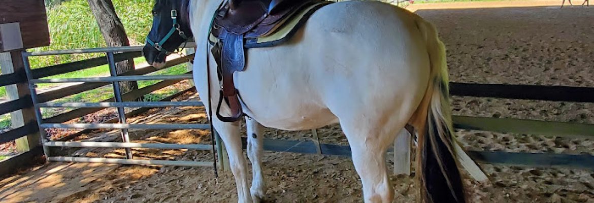 Bakas Equestrian Center: Horses for Handicapped