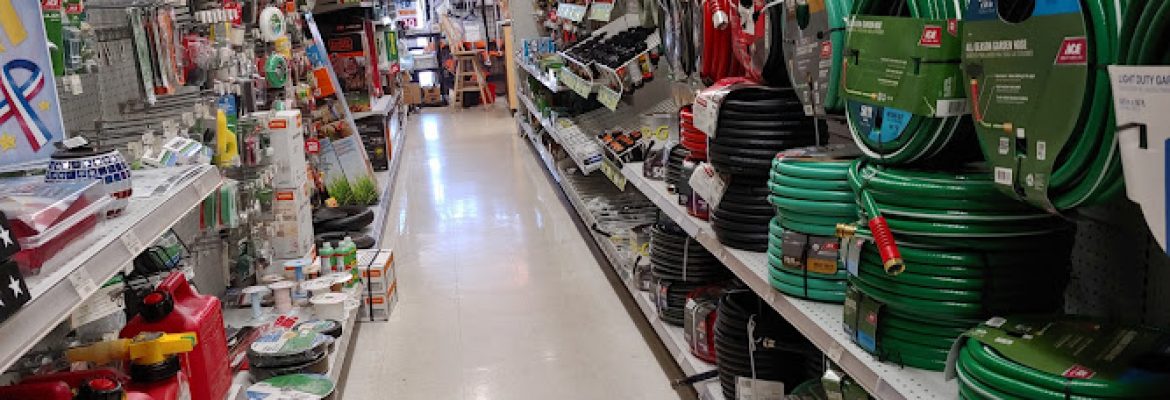 Ace Hardware Palm Harbor