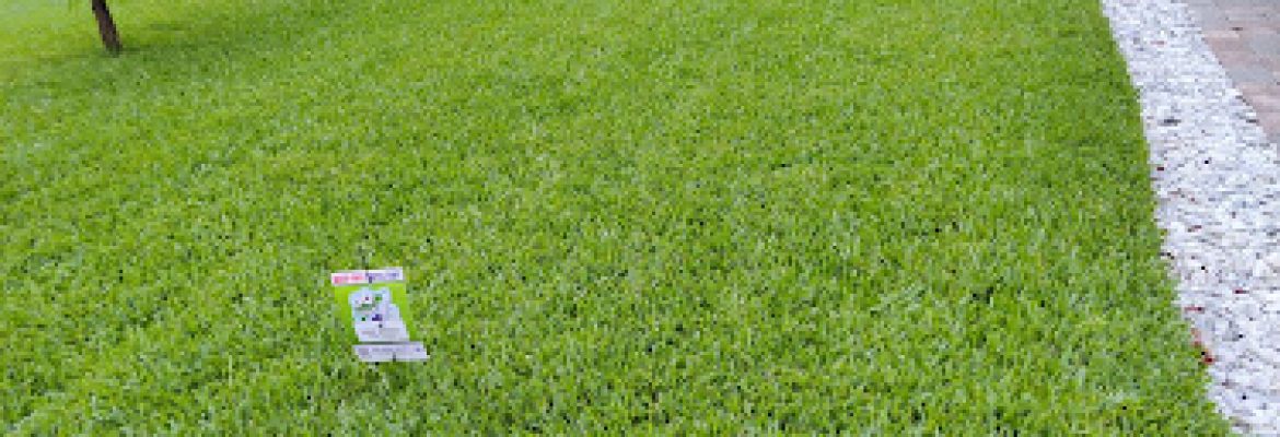 Progreen Pest Control & Lawn