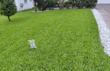 Progreen Pest Control & Lawn
