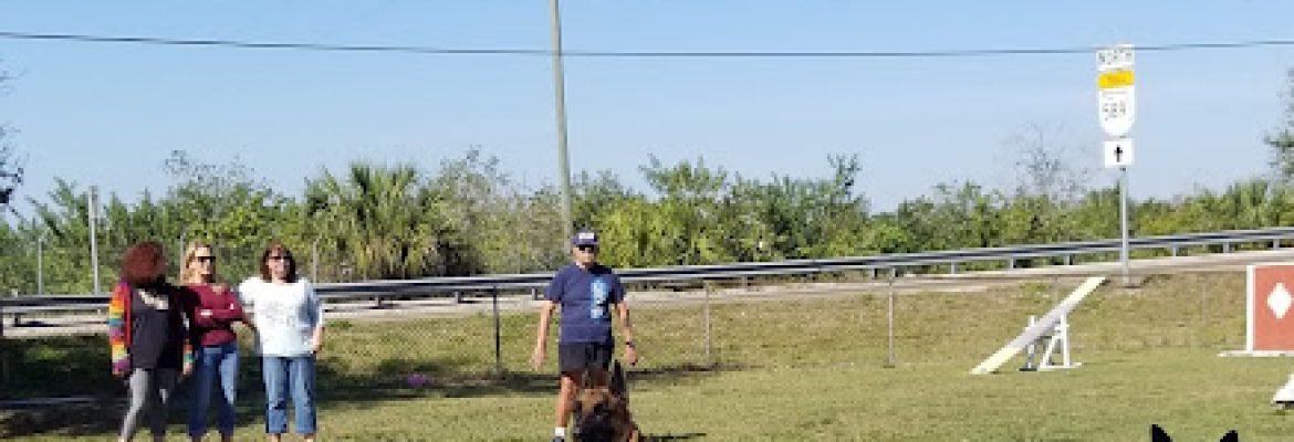 Inghram’s Sit N Stay Dog Academy