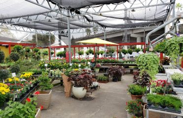 Bloom Garden Shop