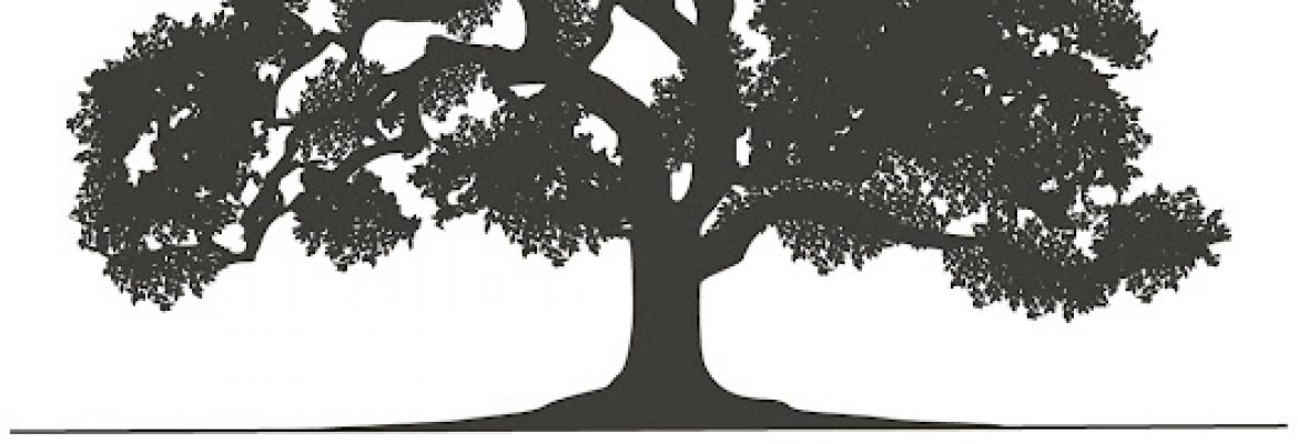Pinellas Tree Service