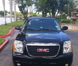 Tampa Luxury Service