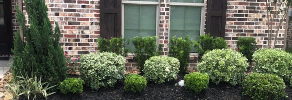 Carib Lawn Care & Landscaping Of Clearwater