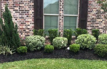 Carib Lawn Care & Landscaping Of Clearwater