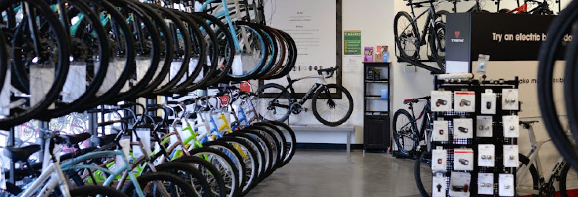 Motorcycle Dealers In Tampa FL, ATV Dealers Tampa FL, Horseback Riding Tampa FL, Tubing In Tampa FL, Motorcycle Dealers St. Petersburg FL, ATV Dealers St. Petersburg FL, Horseback Riding St. Petersburg FL, Tubing In St. Petersburg FL