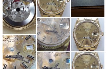 Jewelry Stores In Tampa FL, Jewelry Tampa FL, Jewelers In Tampa FL, Watches In Tampa FL, Engagement Rings In St. Petersburg FL, Earrings In St. Petersburg FL, Jewelers In St. Petersburg FL