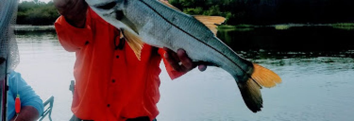 Tampa Bay FL Fishing Charters, Fishing Charters Tampa Bay FL, Deep Sea Fishing Tampa FL, Fishing Charters Tampa FL, Fishing Charter Tampa Bay FL, Tampa FL Fishing Boats, Deep Sea Fishing Tampa Bay FL