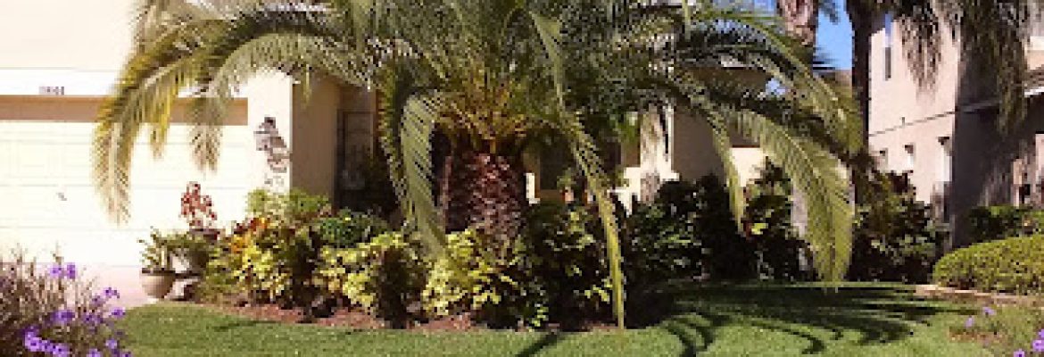 Total Image Lawn Maintenance
