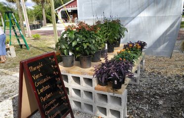 local gardens plant shop