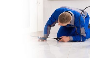 Pest Solutions of Tampa Bay
