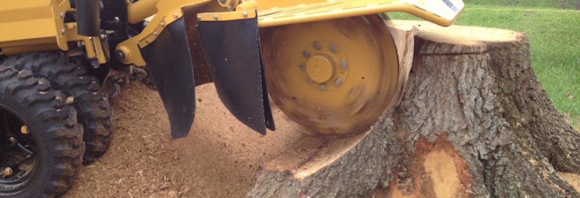 Stump King