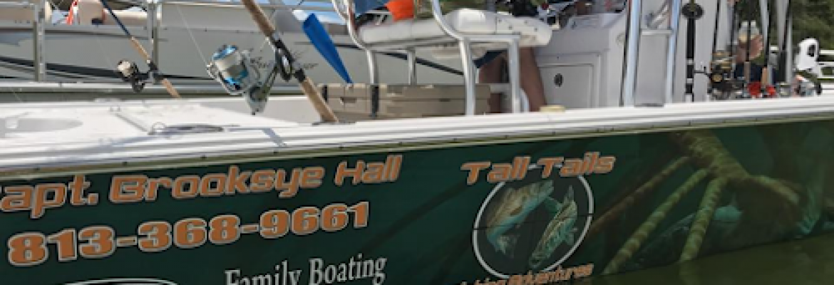 Motorcycle Dealers In Tampa FL, ATV Dealers Tampa FL, Horseback Riding Tampa FL, Tubing In Tampa FL, Motorcycle Dealers St. Petersburg FL, ATV Dealers St. Petersburg FL, Horseback Riding St. Petersburg FL, Tubing In St. Petersburg FL