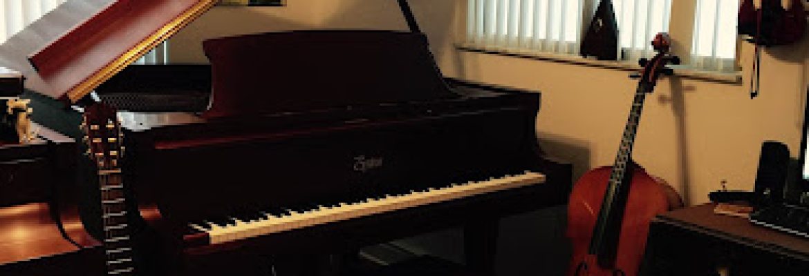 Music Stores In Tampa FL, Music Lessons In Tampa FL, Musical Instruments In Tampa FL, Tampa FL Music Stores, Tampa FL Music Lessons, Music Stores In St. Petersburg FL, Music Lessons In St. Petersburg FL, Musical Instruments In St. Petersburg FL