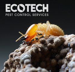 EcoTech Pest Control Services