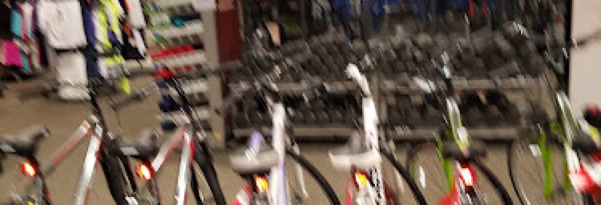 Motorcycle Dealers In Tampa FL, ATV Dealers Tampa FL, Horseback Riding Tampa FL, Tubing In Tampa FL, Motorcycle Dealers St. Petersburg FL, ATV Dealers St. Petersburg FL, Horseback Riding St. Petersburg FL, Tubing In St. Petersburg FL