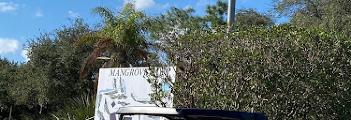 Motorcycle Dealers In Tampa FL, ATV Dealers Tampa FL, Horseback Riding Tampa FL, Tubing In Tampa FL, Motorcycle Dealers St. Petersburg FL, ATV Dealers St. Petersburg FL, Horseback Riding St. Petersburg FL, Tubing In St. Petersburg FL