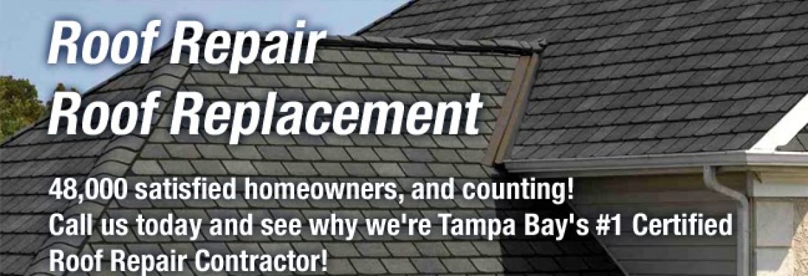 Bay Area Roofing