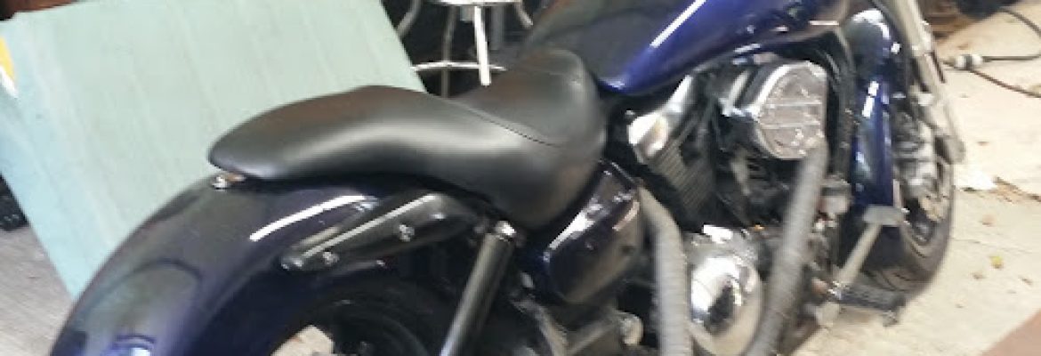Motorcycle Dealers In Tampa FL, ATV Dealers Tampa FL, Horseback Riding Tampa FL, Tubing In Tampa FL, Motorcycle Dealers St. Petersburg FL, ATV Dealers St. Petersburg FL, Horseback Riding St. Petersburg FL, Tubing In St. Petersburg FL