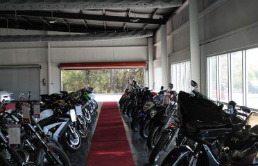 Motorcycle Dealers In Tampa FL, ATV Dealers Tampa FL, Horseback Riding Tampa FL, Tubing In Tampa FL, Motorcycle Dealers St. Petersburg FL, ATV Dealers St. Petersburg FL, Horseback Riding St. Petersburg FL, Tubing In St. Petersburg FL