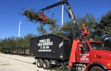 Pinellas Tree Service