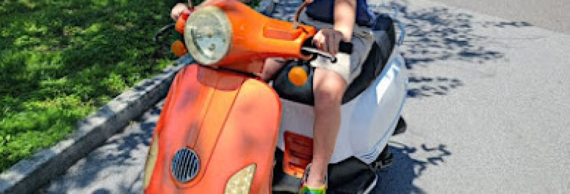 Motorcycle Dealers In Tampa FL, ATV Dealers Tampa FL, Horseback Riding Tampa FL, Tubing In Tampa FL, Motorcycle Dealers St. Petersburg FL, ATV Dealers St. Petersburg FL, Horseback Riding St. Petersburg FL, Tubing In St. Petersburg FL