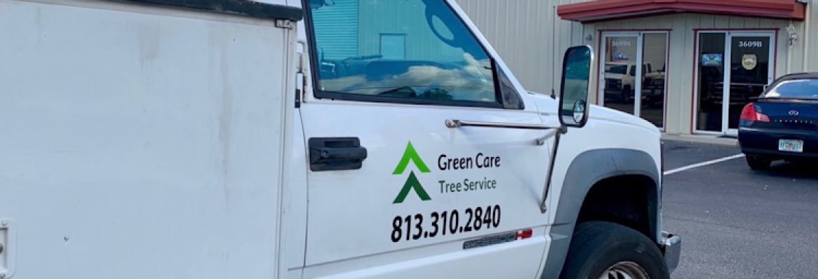 Green Care Tree Service