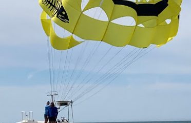 Motorcycle Dealers In Tampa FL, ATV Dealers Tampa FL, Horseback Riding Tampa FL, Tubing In Tampa FL, Motorcycle Dealers St. Petersburg FL, ATV Dealers St. Petersburg FL, Horseback Riding St. Petersburg FL, Tubing In St. Petersburg FL