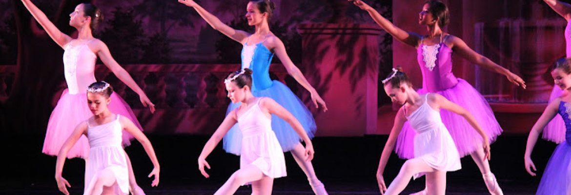 Performing Arts In Tampa Bay FL, Theatre In Tampa Bay FL, Performing Arts In Tampa FL, Theatre In Tampa FL, Performing Arts In St. Petersburg FL, Theatre In St. Petersburg FL